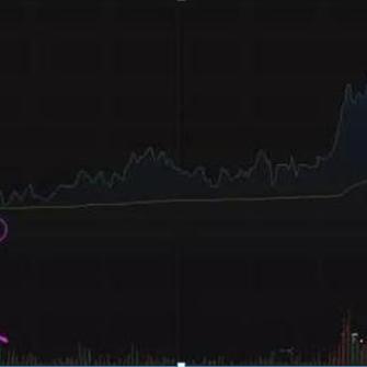 最新开盘股票分析,热门行业与市场趋势解读
