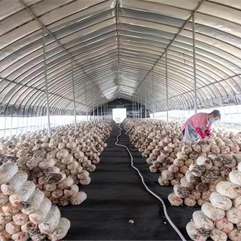 智能精准种植引领农业新时代新探索