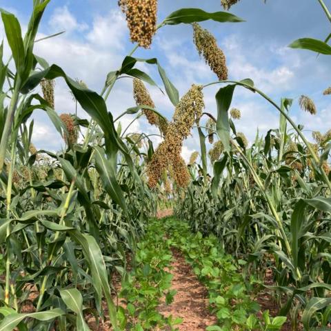 智能精准种植引领农业新时代新探索