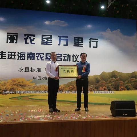 海南乳胶行情最新报价及分析