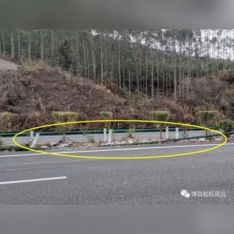 博白车祸事件最新全面报道