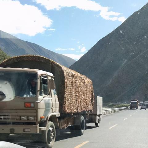 中印边境局势最新对峙分析