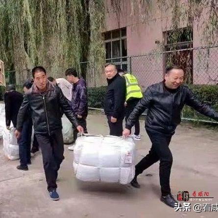 旬邑新闻动态，县域发展新报道视频速递