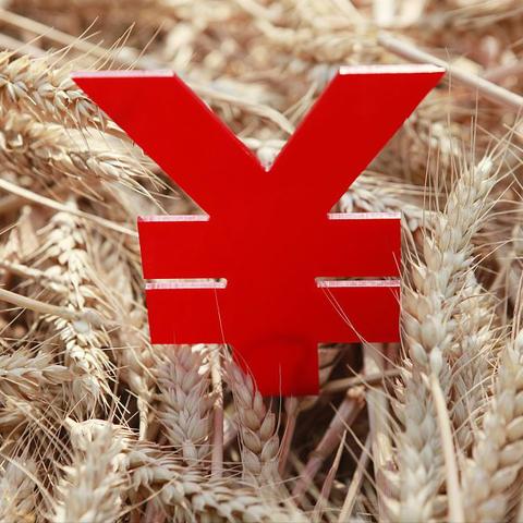 新乡最新猪价行情分析