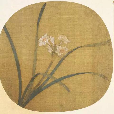 画鸟卷最新进展动态解析