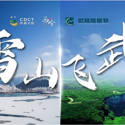 武隆最新新闻动态速递