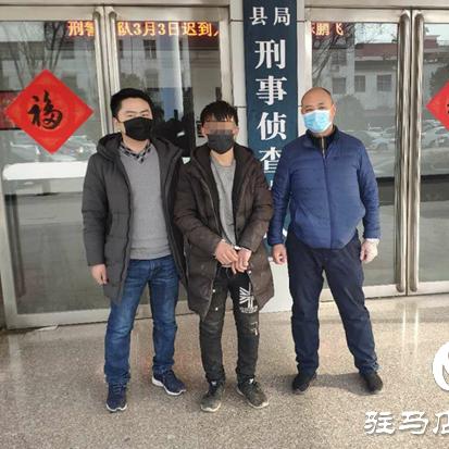 新蔡租房信息解析大全