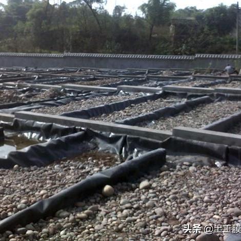 农村绿色生态养殖的机遇与趋势