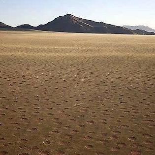 揭秘最新麦田怪圈现象,深度探索神秘事件