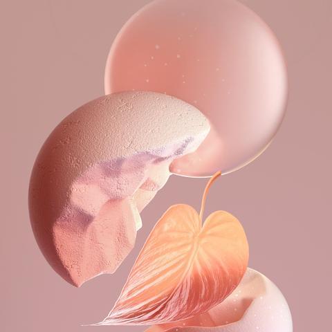 魅族最新壁纸,魅力与美学的完美融合探索