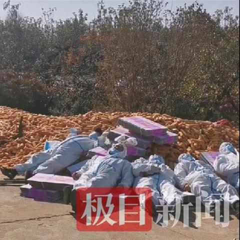 庄河最新新闻动态速递