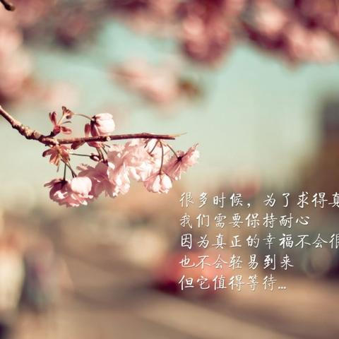 最新美文雅句与文章创作分享