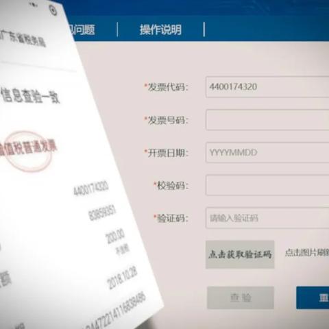 珠海发票案件最新深度剖析