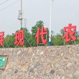 智能农业生态园实践及前景展望