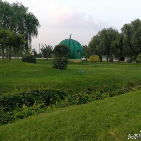 智能农业生态园实践及前景展望