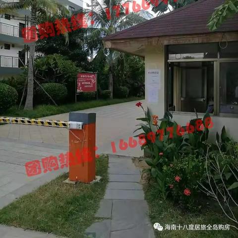 长寿最新楼盘全面解读概览