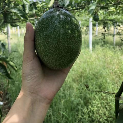 最新致富网揭秘财富密码新时代