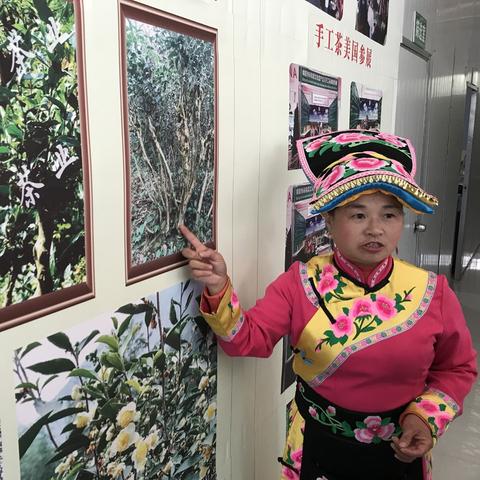 最新致富网揭秘财富密码新时代