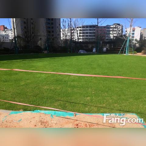 进贤最新楼盘全方位解读