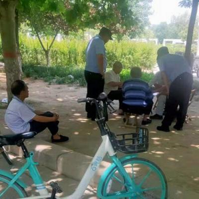 通许县新闻速递，最新报道汇总