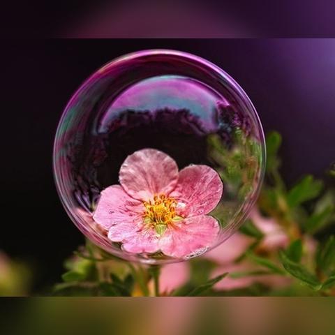 时光印记，长大续写新篇章