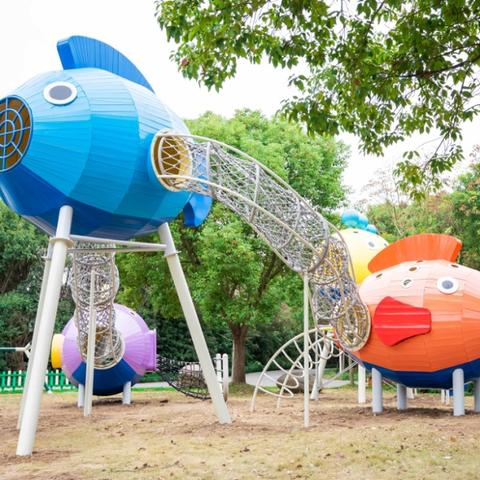 崇明未来规划蓝图至2025年概览