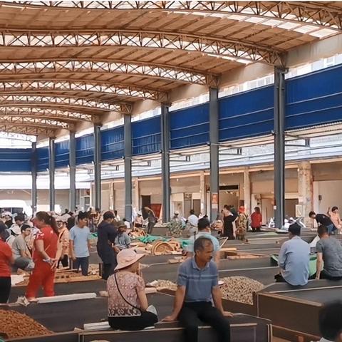 云南三七最新价格走势分析