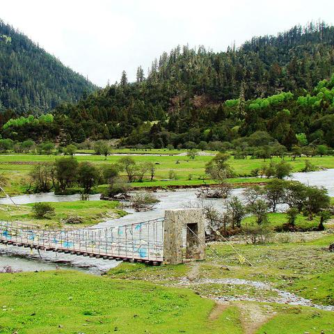 全球科技巨头推出新一代人工智能产品,掀起新一轮竞争浪潮