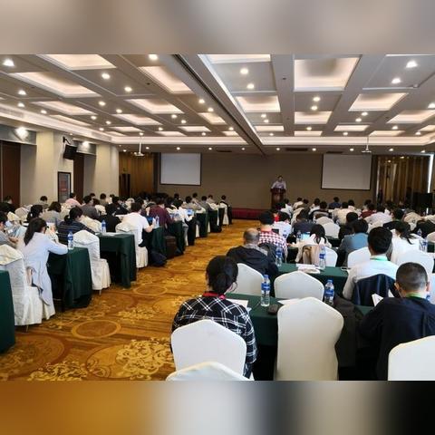 镇海最新新闻动态报道速递