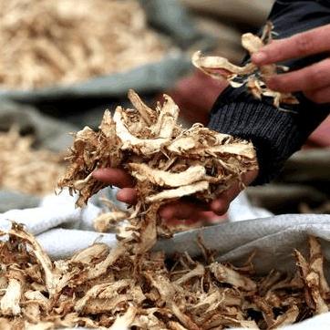 毛知母最新价格走势分析