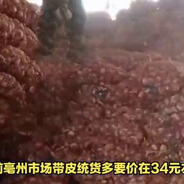 毛知母最新价格走势分析