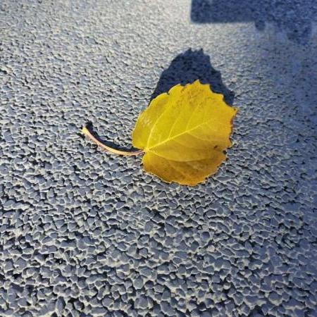 南方暴雨猛烈来袭，最新视频报道与深远影响分析