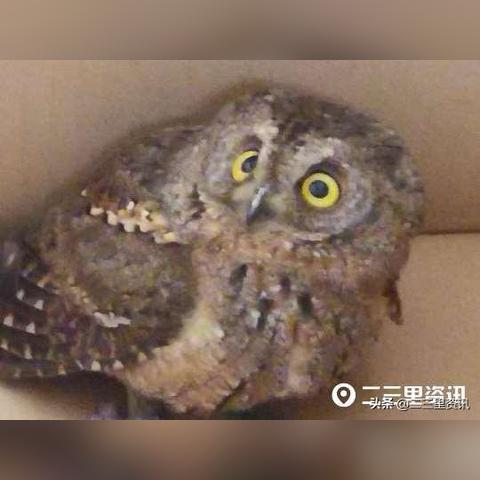 宝鸡夜班工作深度解析与实践应用