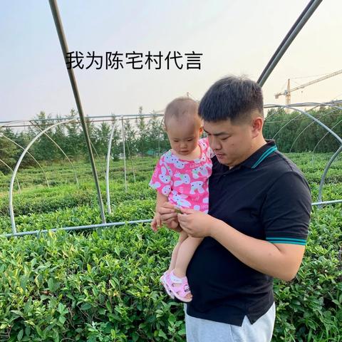 临沭地瓜价格走势分析