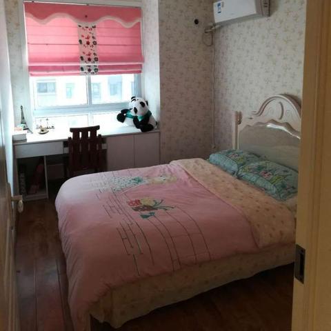 阜城最新房源全面解读