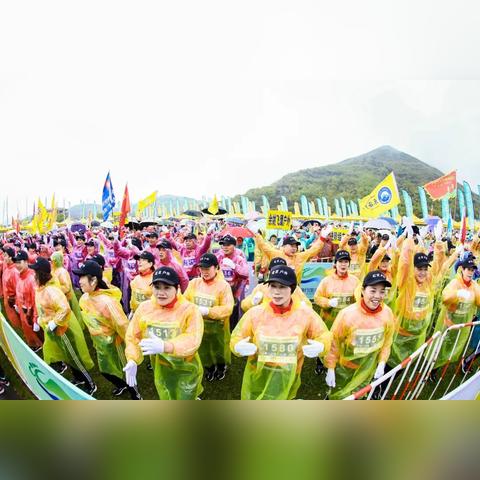 舟山船员招聘启航,职业航海梦扬帆出发