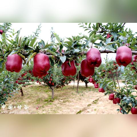 永登新闻快报，最新消息一览