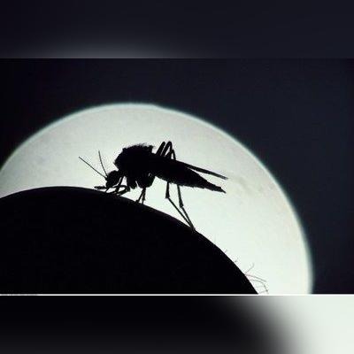 最新沙窗设计,安全舒适居住之选