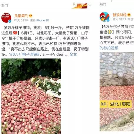 枣阳最新新闻动态速递