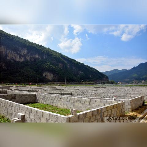 乐业县新闻速递