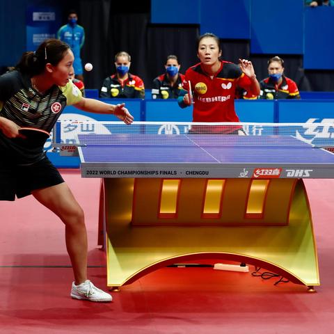 德国世乒赛最新动态报道