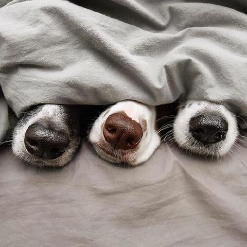 PS原料最新价格走势及分析