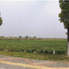 吴江房产市场最新分析概况