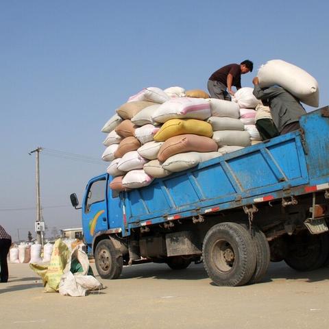 最新化肥市场动态分析