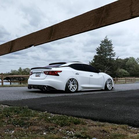 西玛最新报价与市场趋势分析