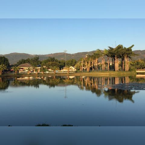 弥勒最新租房信息概览