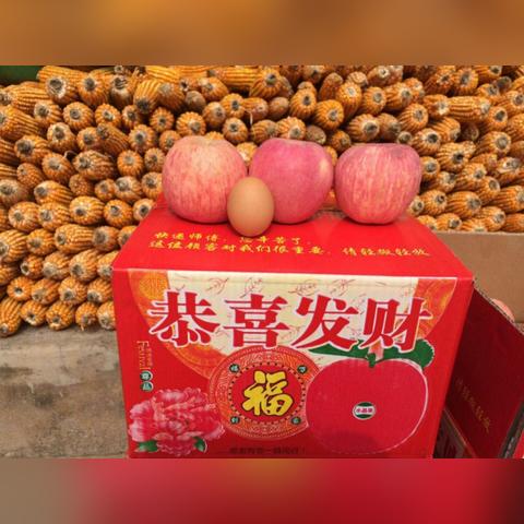 陕西陇县最新发展规划概览