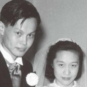 杨振宁最新动态,科学巨匠开启新征程