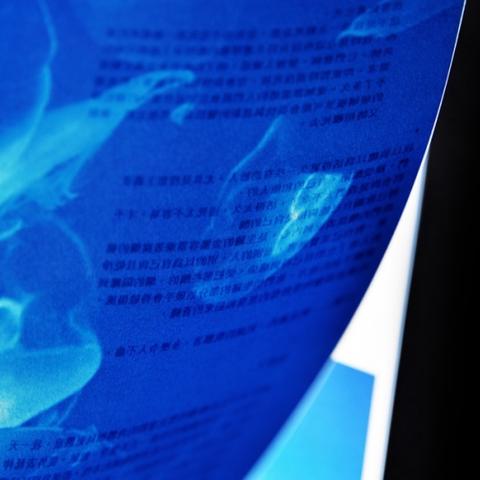 数字时代阅读潮流,最新流行书籍概览