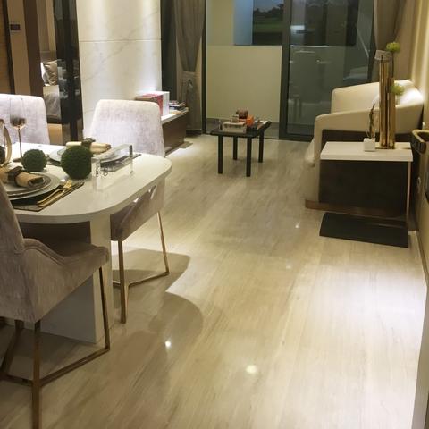 龙岗最新楼盘深度解析